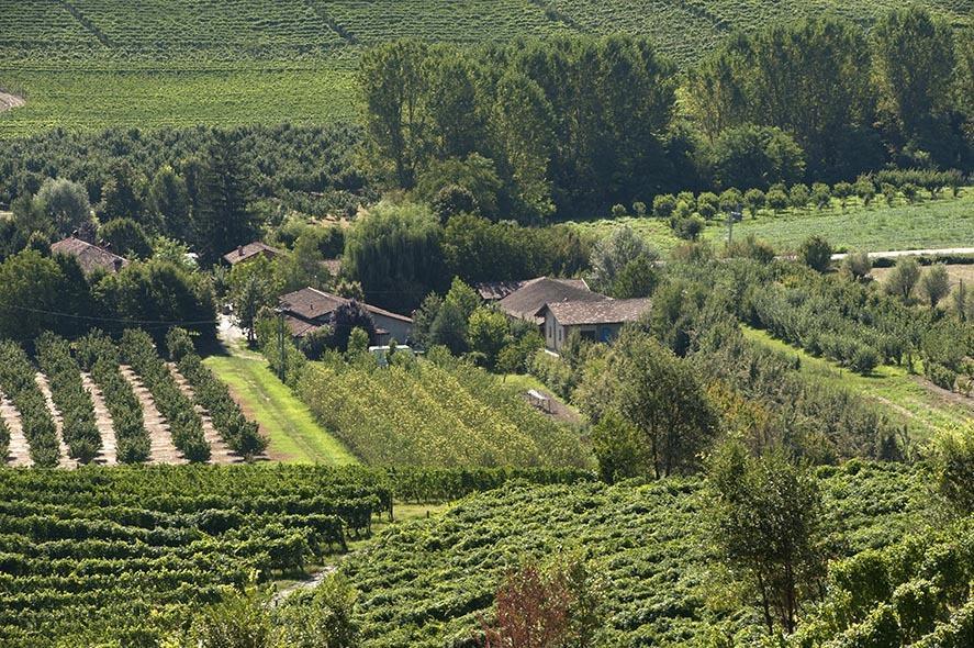فيلا لا مورّافي Cascina Ballarin المظهر الخارجي الصورة