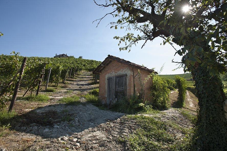 فيلا لا مورّافي Cascina Ballarin المظهر الخارجي الصورة