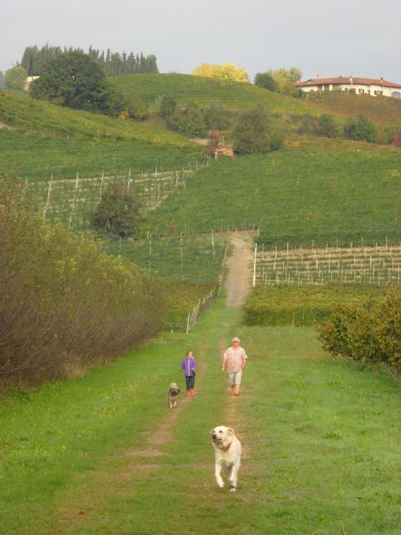 فيلا لا مورّافي Cascina Ballarin المظهر الخارجي الصورة