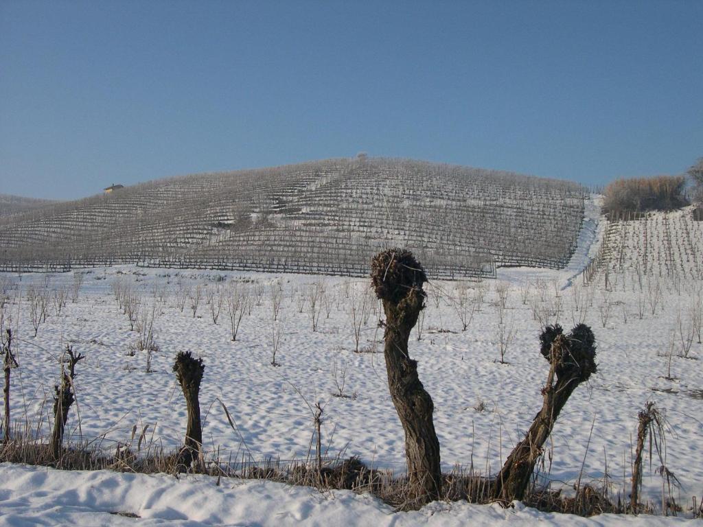 فيلا لا مورّافي Cascina Ballarin المظهر الخارجي الصورة