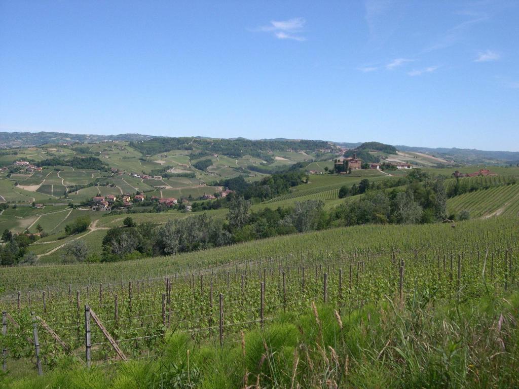 فيلا لا مورّافي Cascina Ballarin المظهر الخارجي الصورة